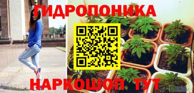 бошки Бийск