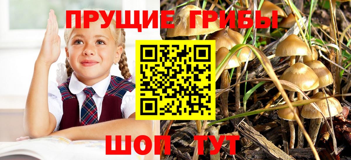 Кимовск  как найти наркотики  Вход с VPN  Псилоцибиновые грибы Psilocybine cubensis 