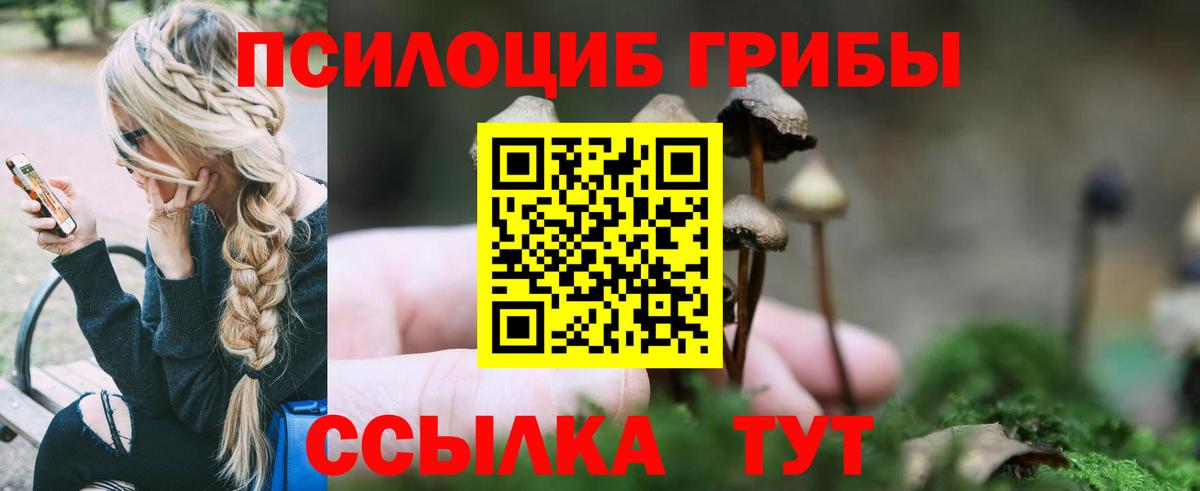 Галлюциногенные грибы Cubensis Кимовск